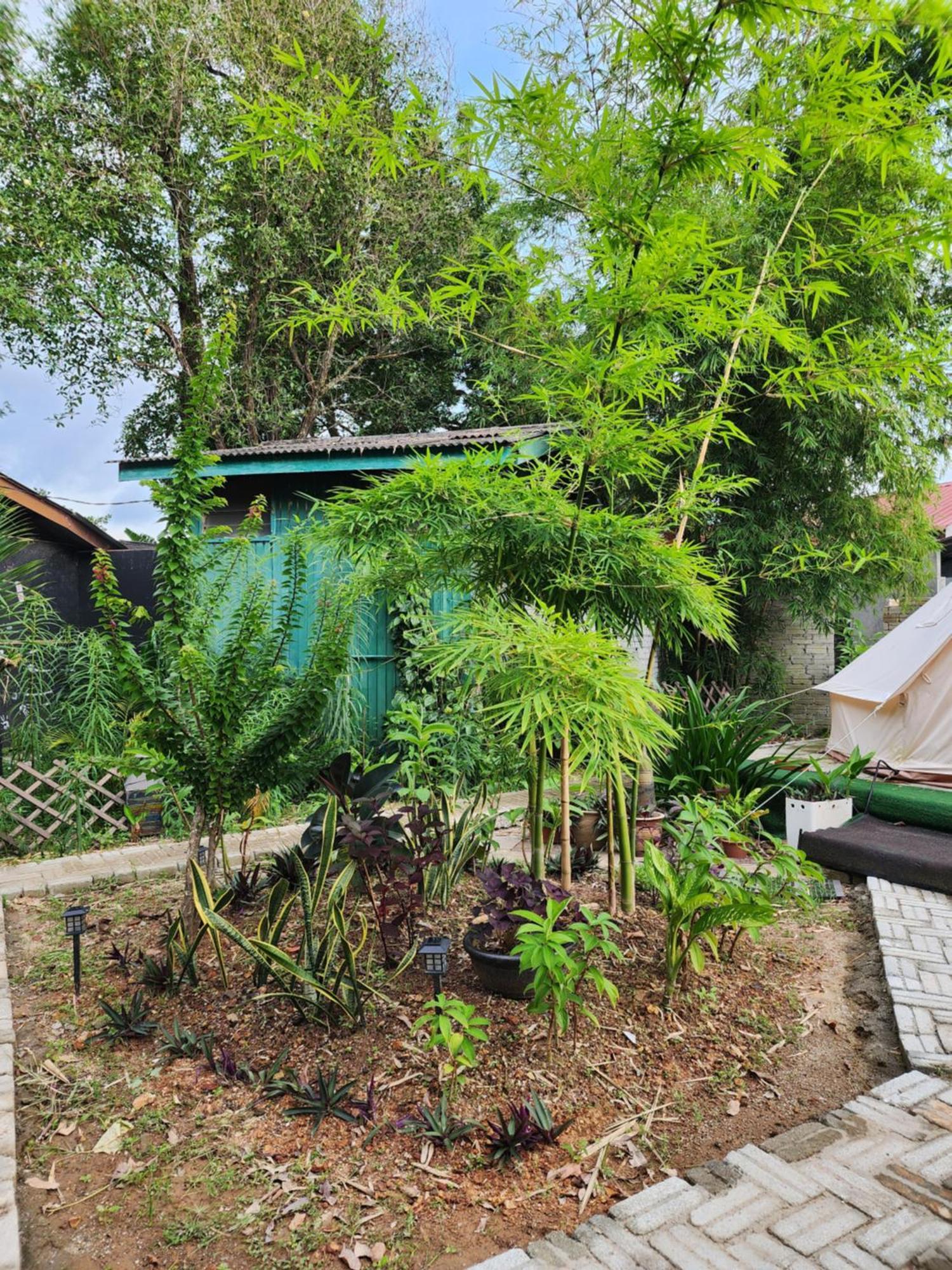 Blissfull Sweet Inn Pantai Cenang  Eksteriør billede